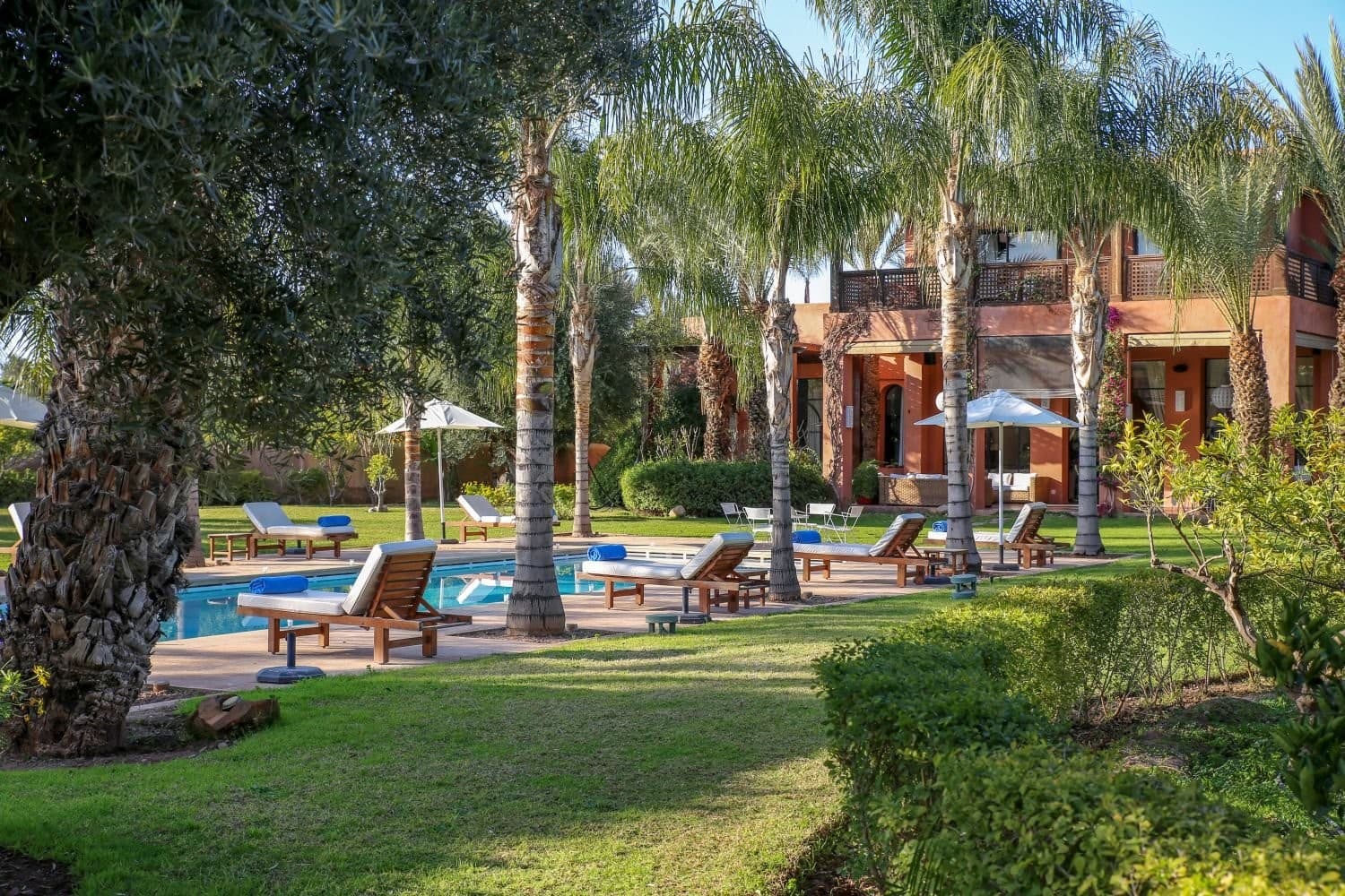 Riad Safran